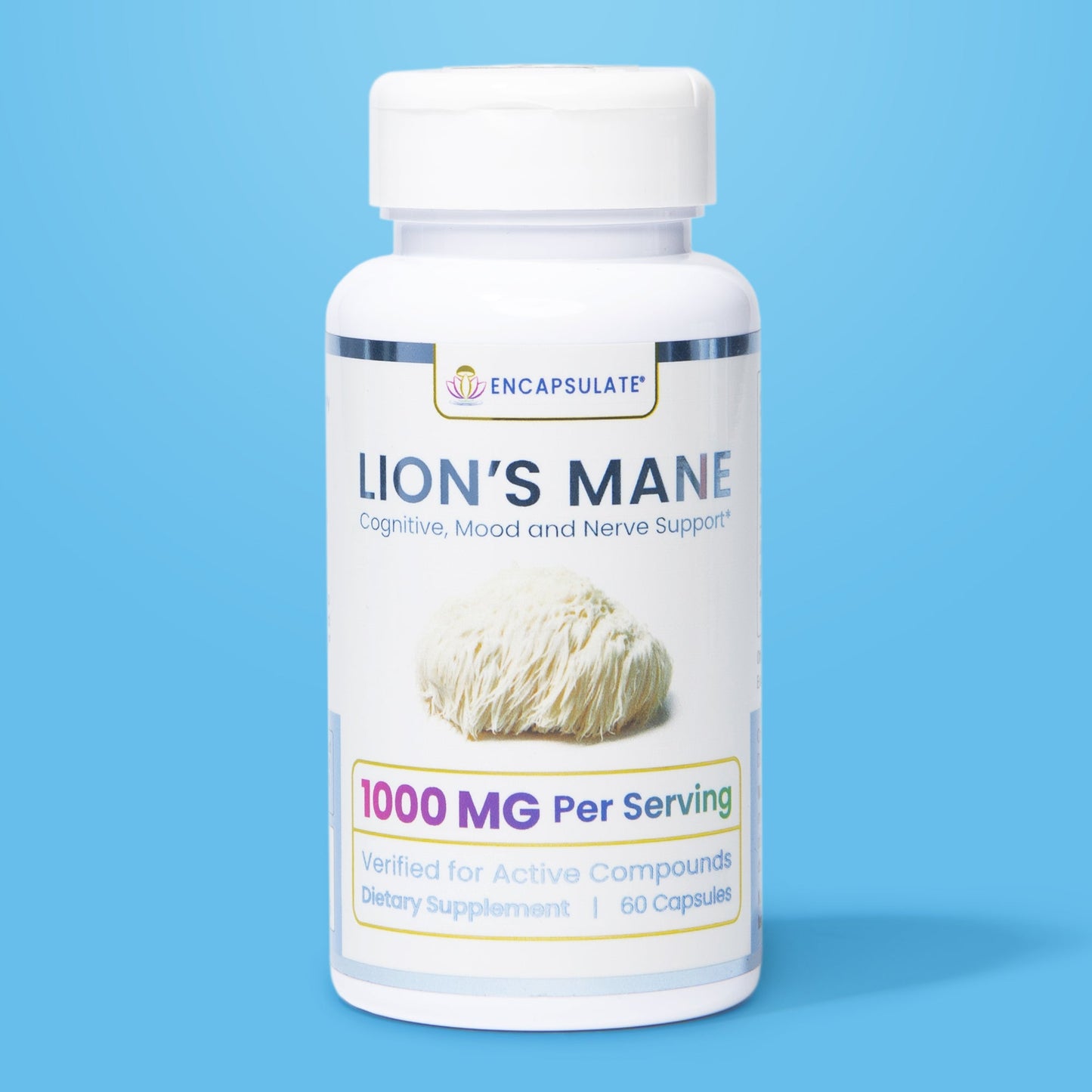 Lion's Mane Mushroom 1:1