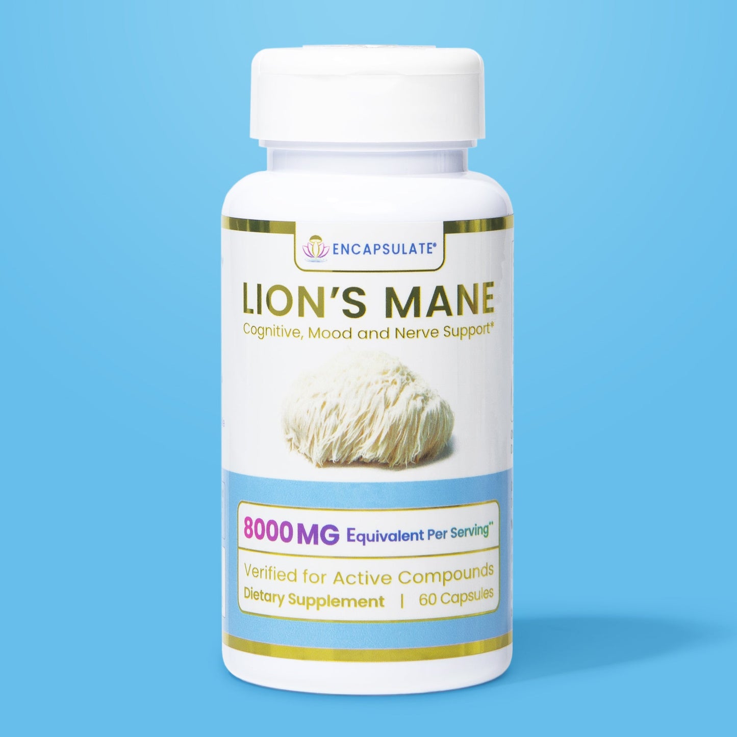 Lion's Mane Mushroom 8:1
